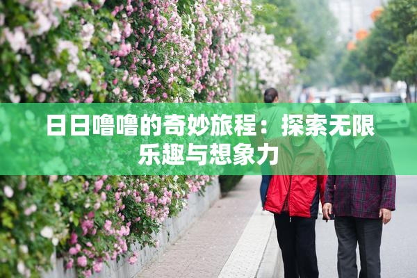 日日噜噜的奇妙旅程：探索无限乐趣与想象力