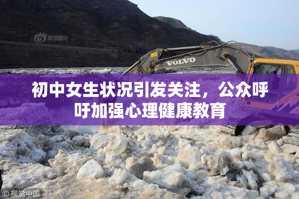 初中女生状况引发关注，公众呼吁加强心理健康教育