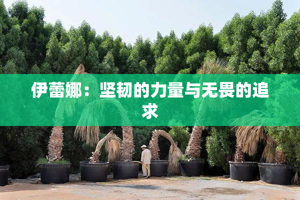 伊蕾娜：坚韧的力量与无畏的追求