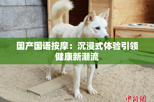 国产国语按摩：沉浸式体验引领健康新潮流