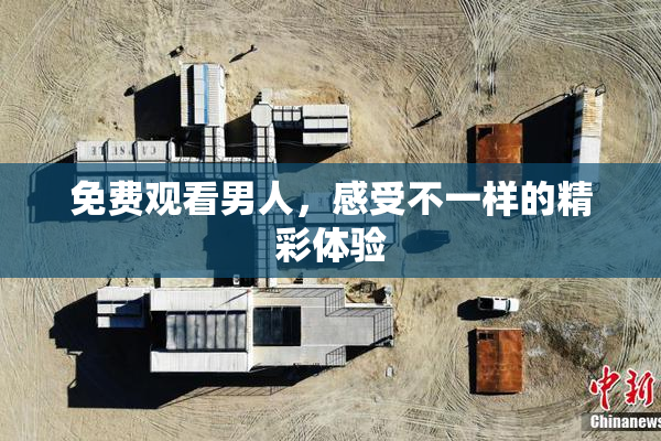免费观看男人，感受不一样的精彩体验