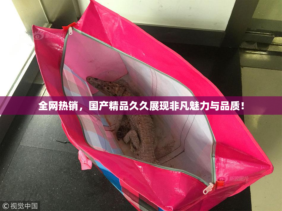 全网热销，国产精品久久展现非凡魅力与品质！