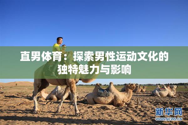直男体育：探索男性运动文化的独特魅力与影响