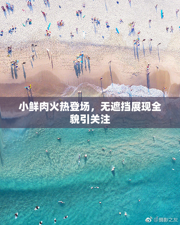 小鲜肉火热登场，无遮挡展现全貌引关注