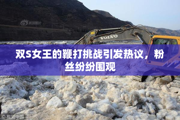 双S女王的鞭打挑战引发热议，粉丝纷纷围观