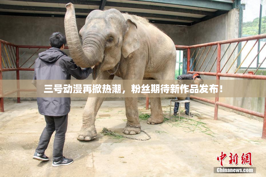三号动漫再掀热潮，粉丝期待新作品发布！