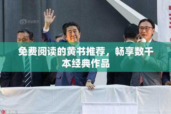 免费阅读的黄书推荐，畅享数千本经典作品