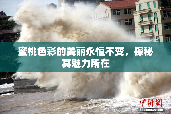 蜜桃色彩的美丽永恒不变，探秘其魅力所在