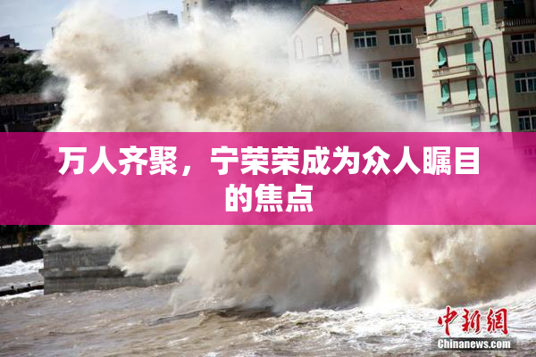 万人齐聚，宁荣荣成为众人瞩目的焦点