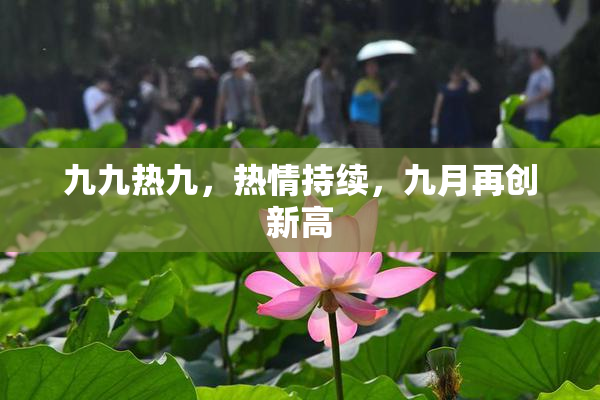 九九热九，热情持续，九月再创新高