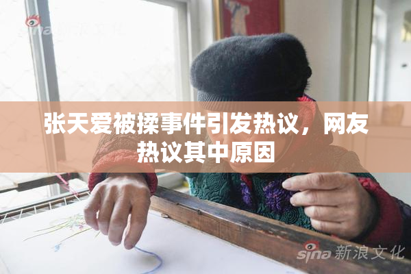 张天爱被揉事件引发热议，网友热议其中原因