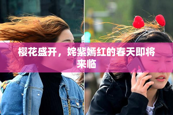 樱花盛开，姹紫嫣红的春天即将来临