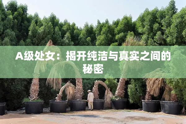 A级处女：揭开纯洁与真实之间的秘密