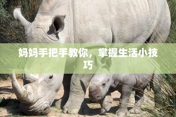 妈妈手把手教你，掌握生活小技巧