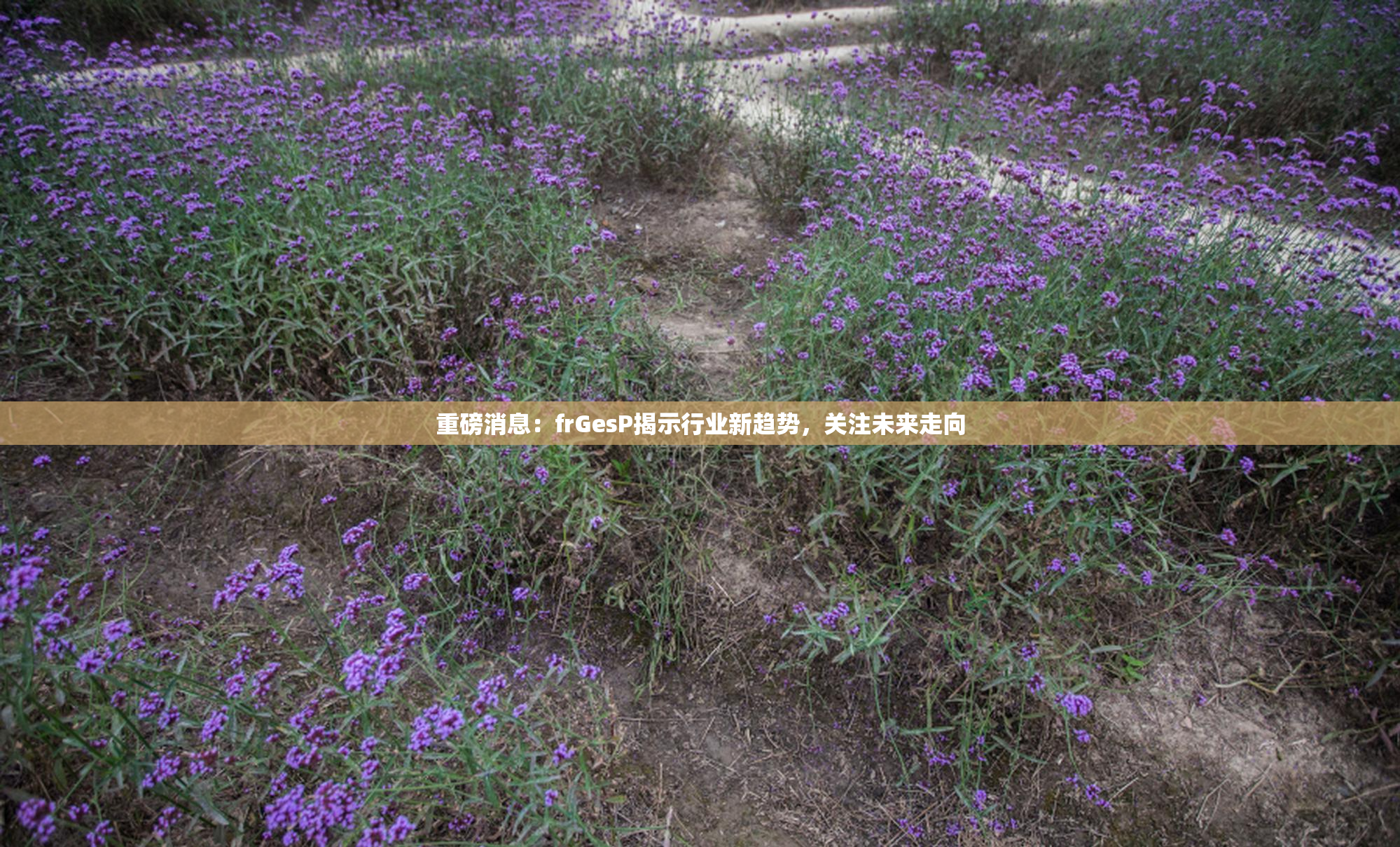 重磅消息：frGesP揭示行业新趋势，关注未来走向