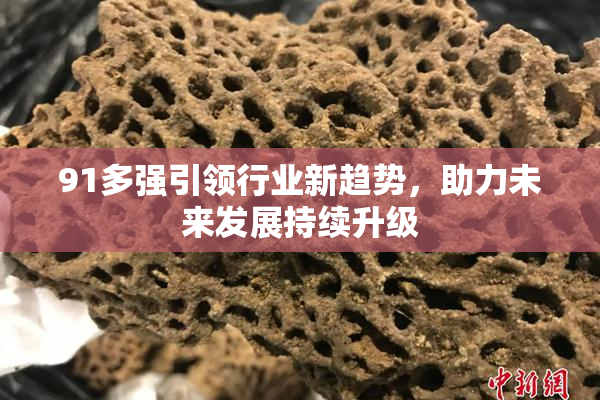 91多强引领行业新趋势，助力未来发展持续升级