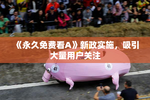 《永久免费看A》新政实施，吸引大量用户关注