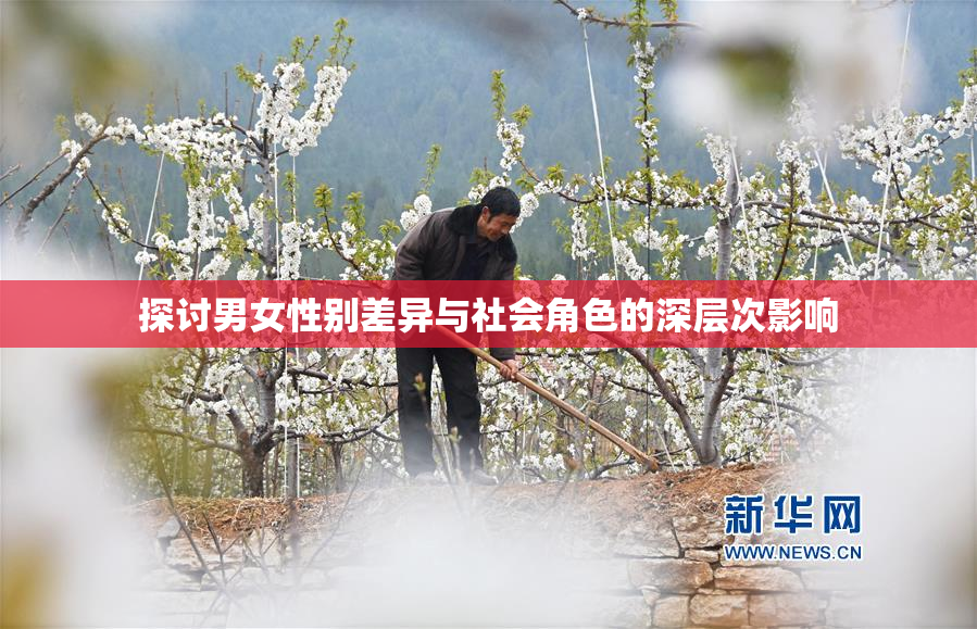 探讨男女性别差异与社会角色的深层次影响