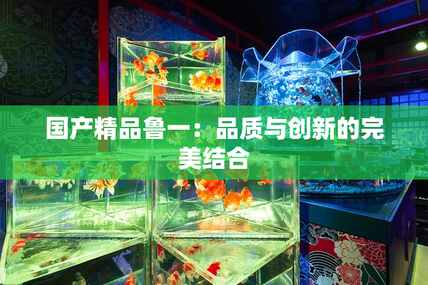国产精品鲁一：品质与创新的完美结合