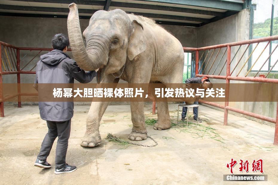 杨幂大胆晒裸体照片，引发热议与关注