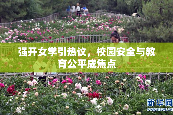 强开女学引热议，校园安全与教育公平成焦点