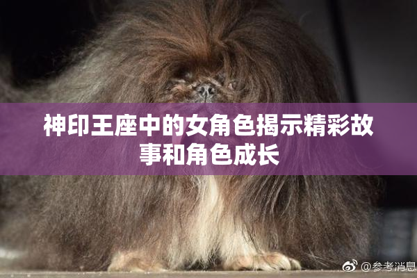 神印王座中的女角色揭示精彩故事和角色成长