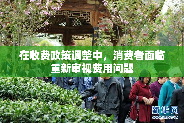 在收费政策调整中，消费者面临重新审视费用问题