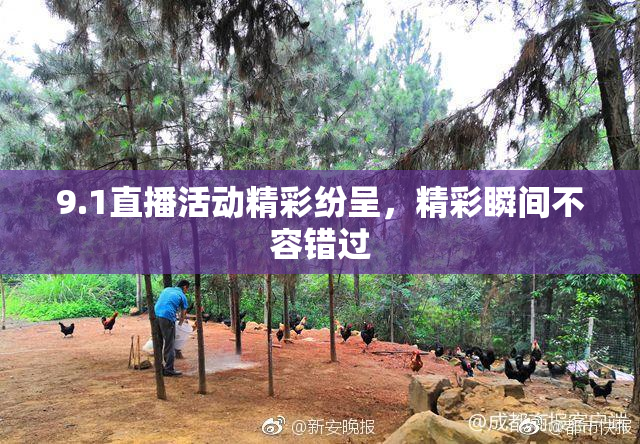 9.1直播活动精彩纷呈，精彩瞬间不容错过