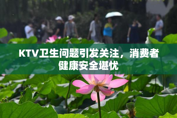KTV卫生问题引发关注，消费者健康安全堪忧