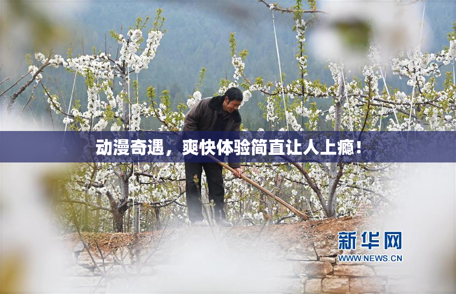 动漫奇遇，爽快体验简直让人上瘾！