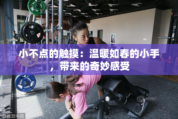 小不点的触摸：温暖如春的小手，带来的奇妙感受