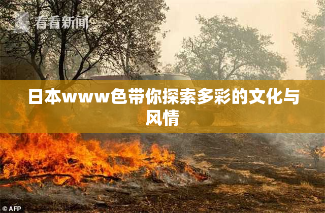 日本www色带你探索多彩的文化与风情