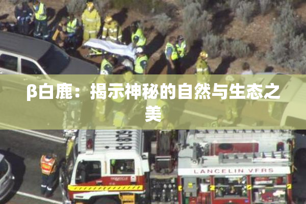 β白鹿：揭示神秘的自然与生态之美