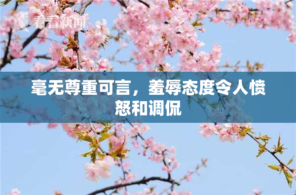 毫无尊重可言，羞辱态度令人愤怒和调侃
