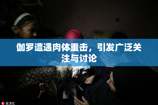 伽罗遭遇肉体重击，引发广泛关注与讨论