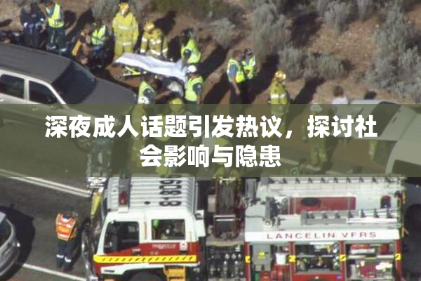 深夜成人话题引发热议，探讨社会影响与隐患