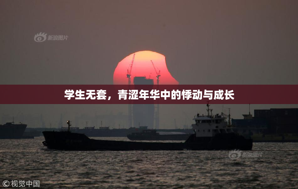 学生无套，青涩年华中的悸动与成长