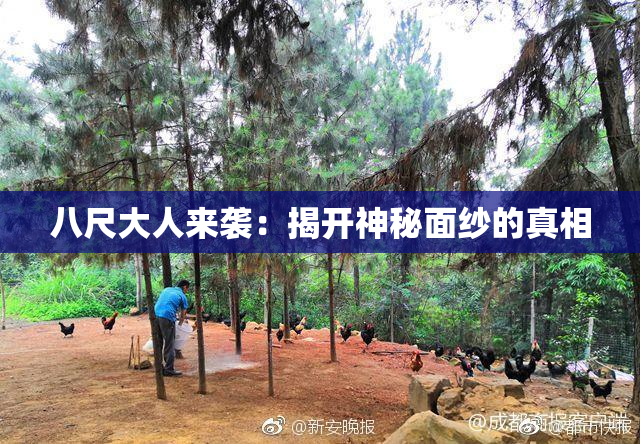 八尺大人来袭：揭开神秘面纱的真相