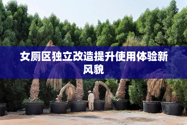 女厕区独立改造提升使用体验新风貌