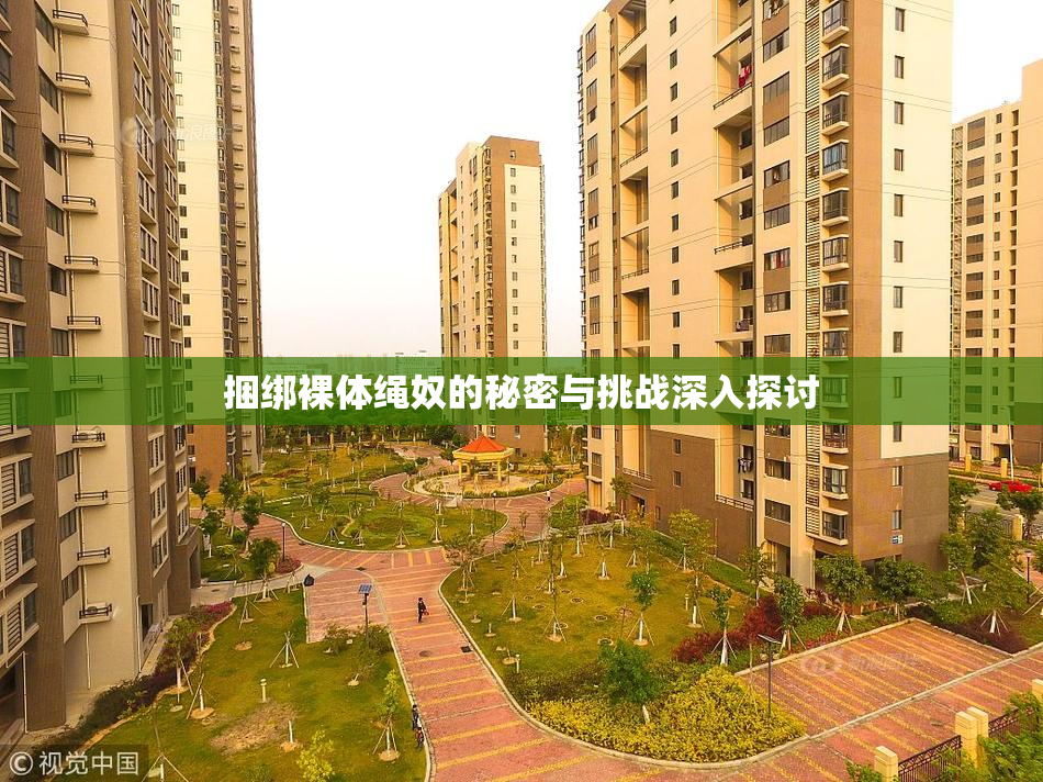 捆绑裸体绳奴的秘密与挑战深入探讨