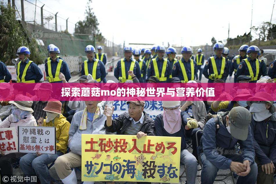 探索蘑菇mo的神秘世界与营养价值