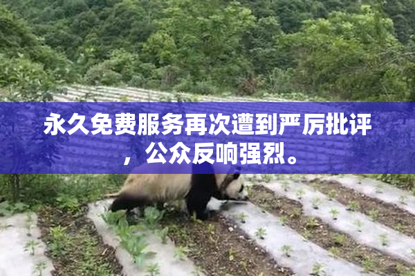 永久免费服务再次遭到严厉批评，公众反响强烈。