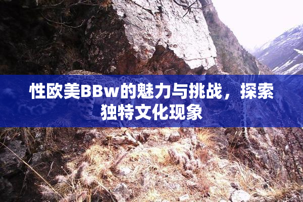 性欧美BBw的魅力与挑战，探索独特文化现象