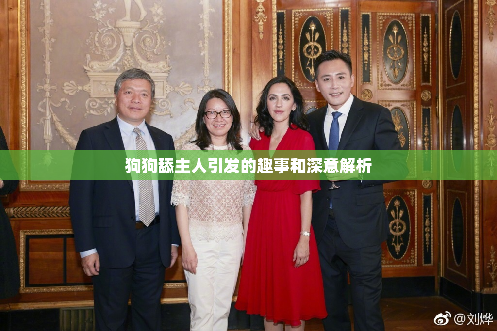 狗狗舔主人引发的趣事和深意解析