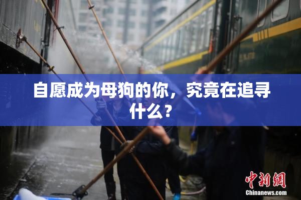 自愿成为母狗的你，究竟在追寻什么？