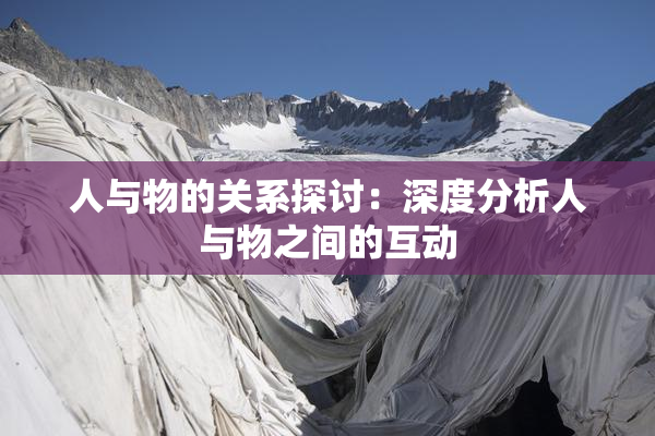 人与物的关系探讨：深度分析人与物之间的互动