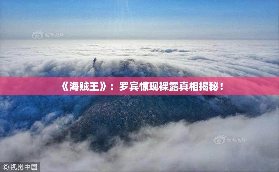 《海贼王》：罗宾惊现裸露真相揭秘！