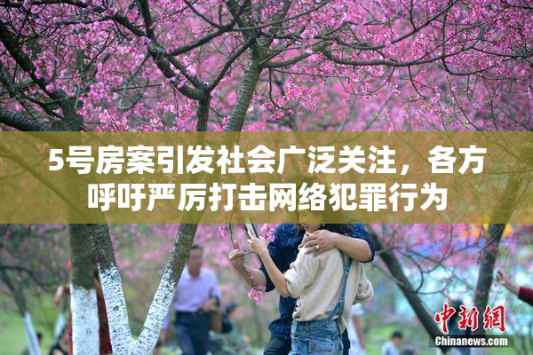 5号房案引发社会广泛关注，各方呼吁严厉打击网络犯罪行为