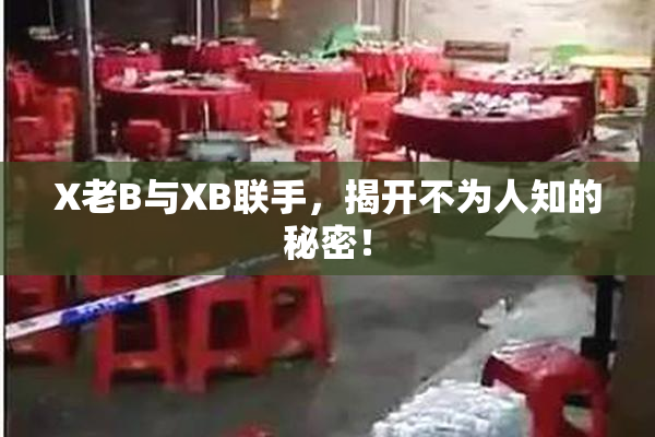 X老B与XB联手，揭开不为人知的秘密！
