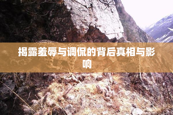 揭露羞辱与调侃的背后真相与影响